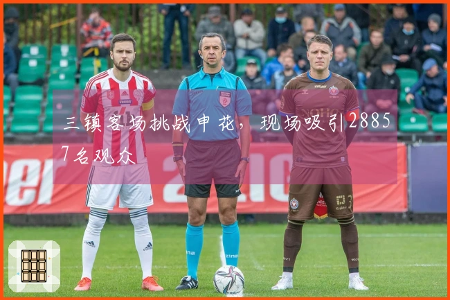 三镇客场挑战申花，现场吸引28857名观众